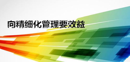 軟件開發(fā)中的精細(xì)化管理 驅(qū)動企業(yè)數(shù)字化轉(zhuǎn)型的引擎